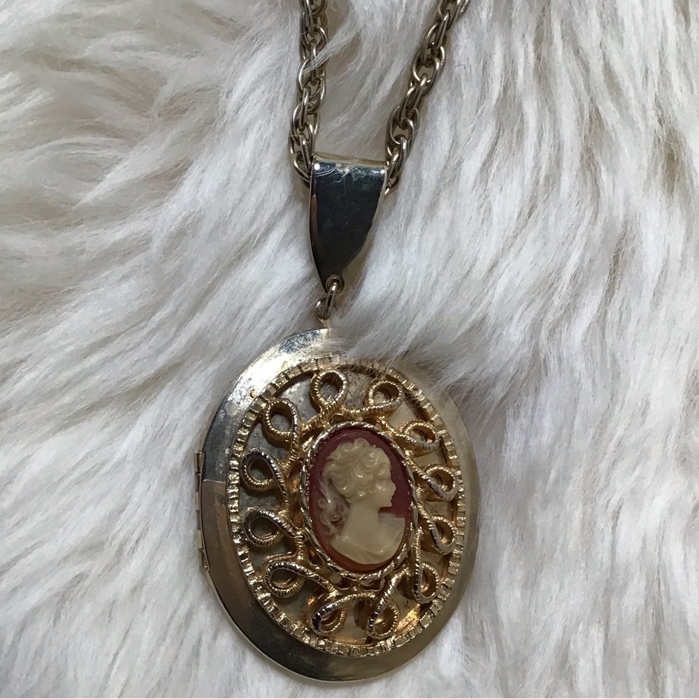 Elegant Silver and Gold Cameo Necklace